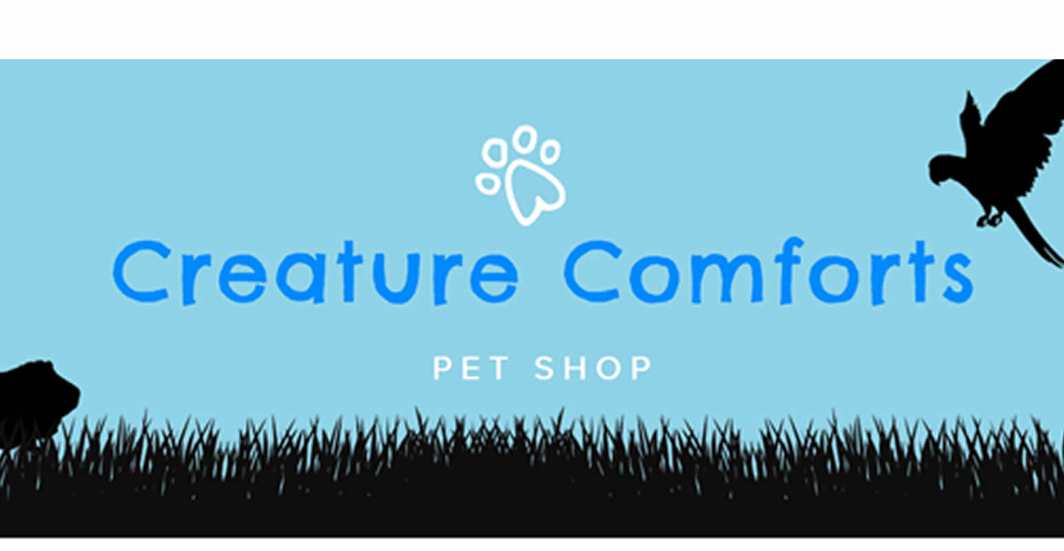 Creature Comforts | Shop Guernsey